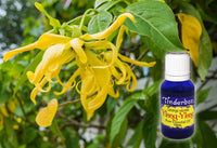 Ylang Ylang Essential Oil 15mL