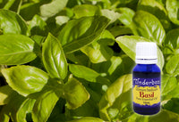 Basil Essential Oil 15mL