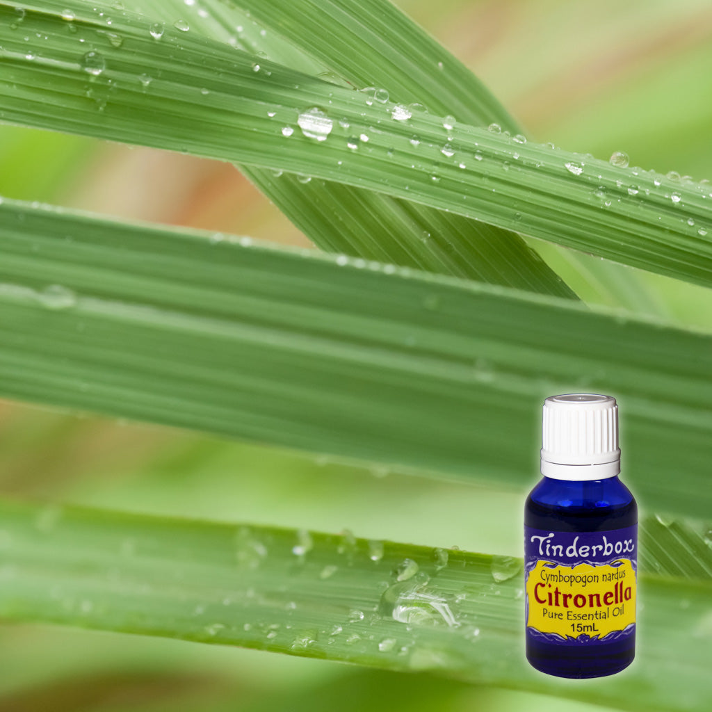 Citronella Essential Oil 15mL