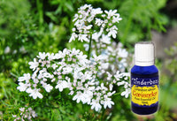 Coriander Essential Oil 15mL