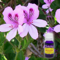 Geranium Bourbon Essential Oil 15mL