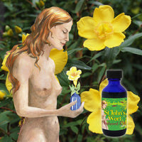 St John's Wort Infused Oil 60mL